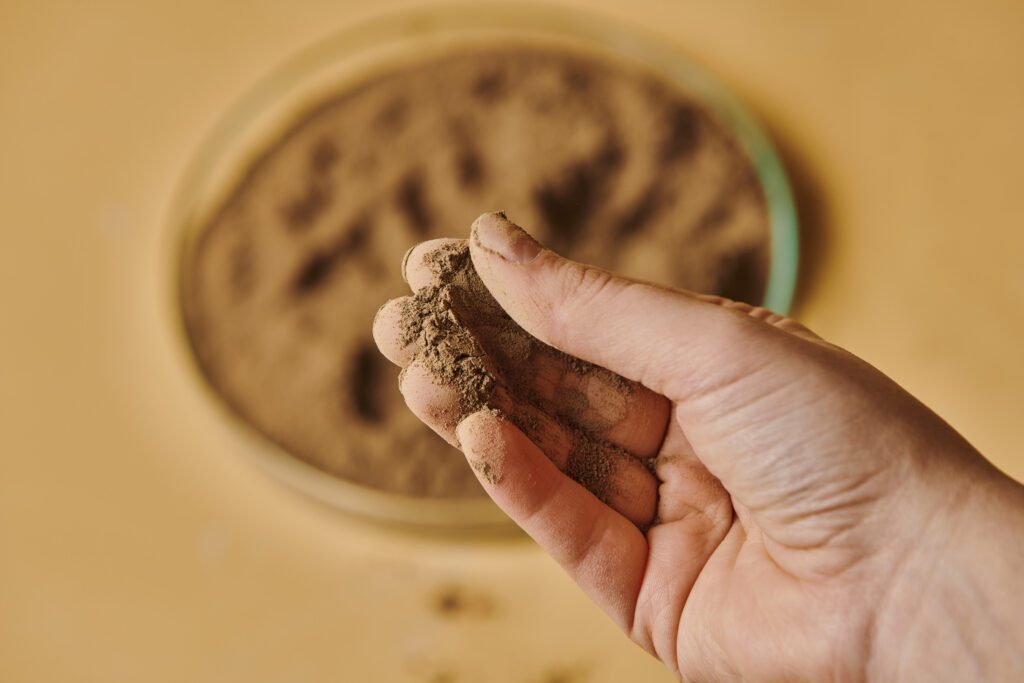 Mycanova studio 46 WEB